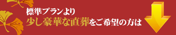 少し豪華なプランをご希望の方は