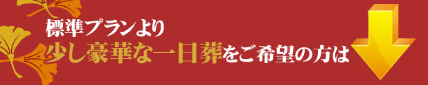 少し豪華なプランをご希望の方は