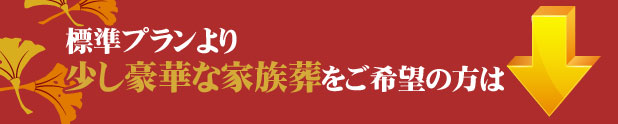 少し豪華なプランをご希望の方は