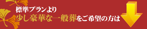 少し豪華なプランをご希望の方は